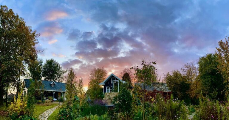 losie laki siedlisko 768x404