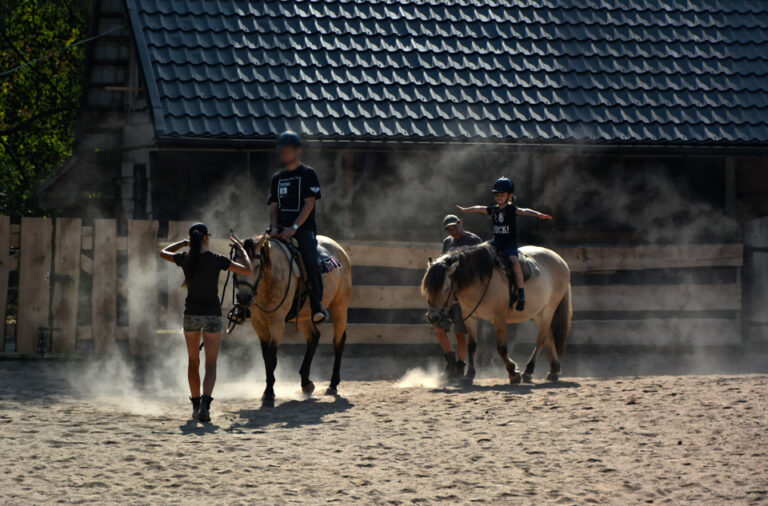 agroturystyka studzienno i zagroda rekreacyjna 2 768x506