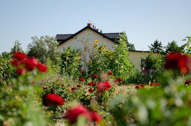 agroturystyka nad bugiem 768x509