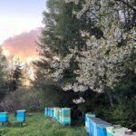 malowane wierchy7 150x150