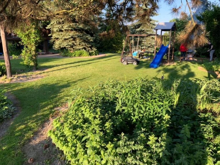 przy goscincu3 768x576