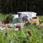 willa pod lasem 150x150