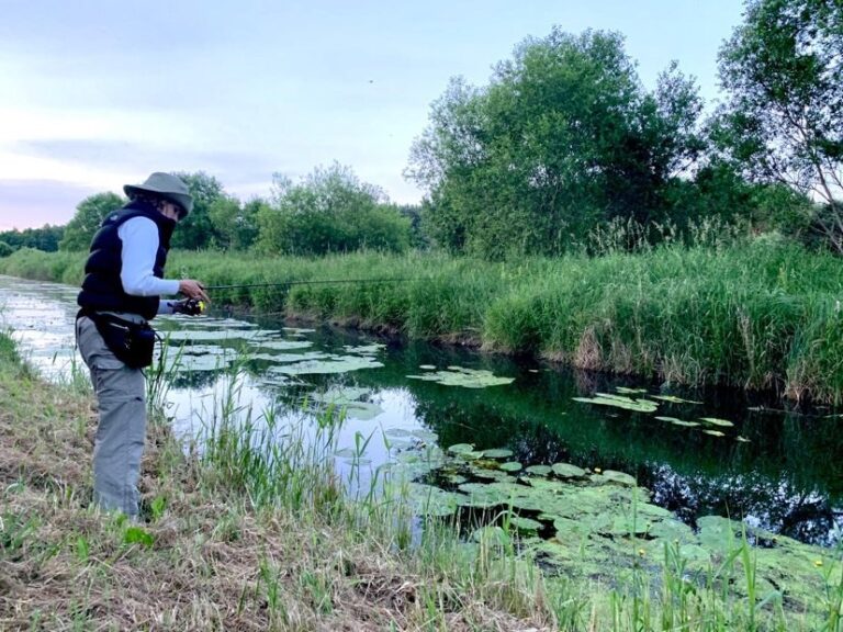 willa pod lasem2 768x576