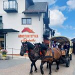 347382527 742457614552165 4663975361596877879 n 1 150x150