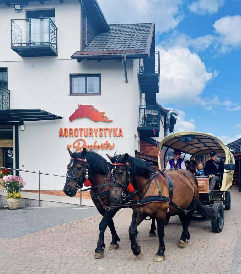 347382527 742457614552165 4663975361596877879 n 1 768x873