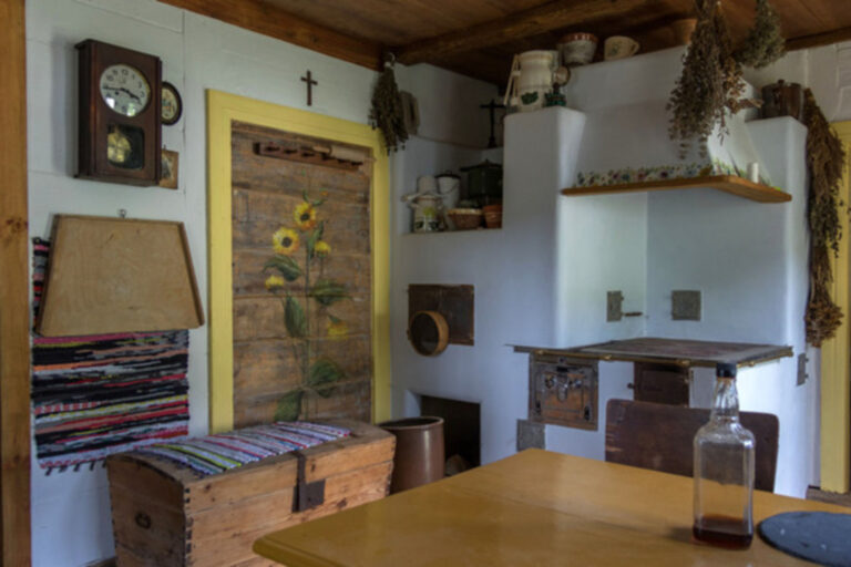 IMG 0408 768x512