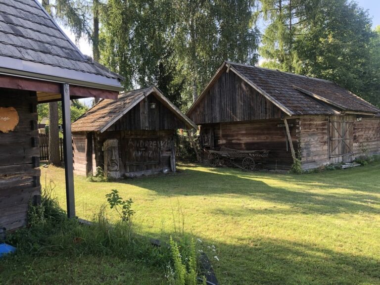 IMG 0890 768x576