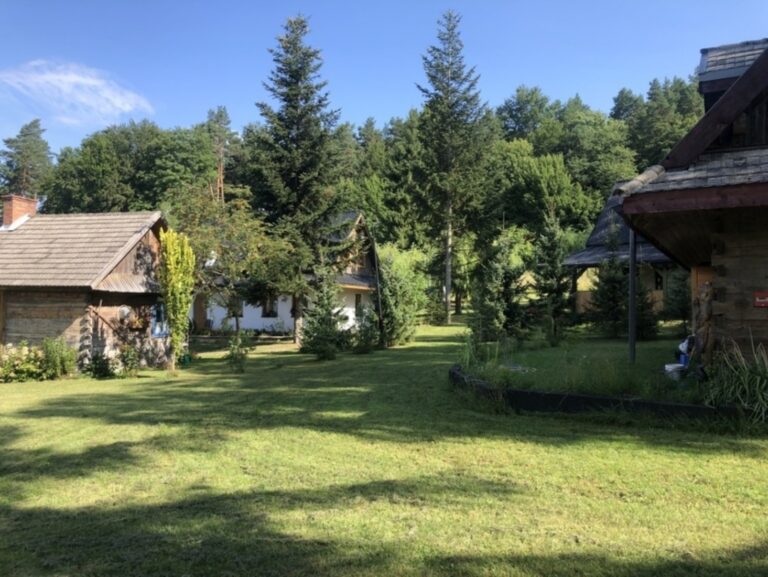 IMG 0894 768x577