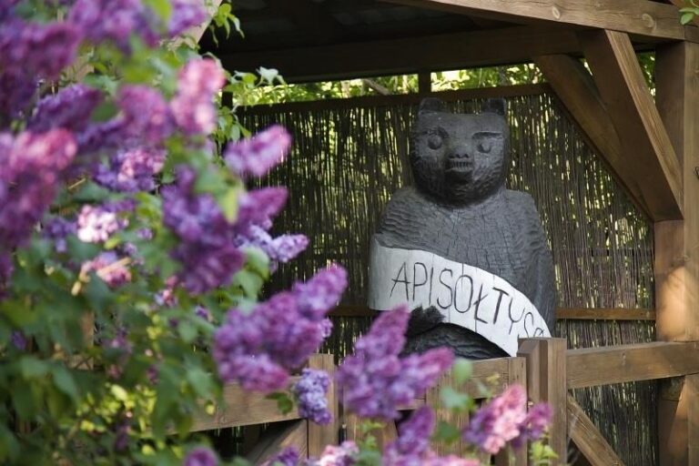 e1a9680ec3 jm6a3149 768x512