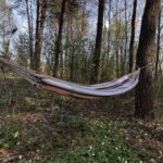 hamak w lesie scaled 1 150x150