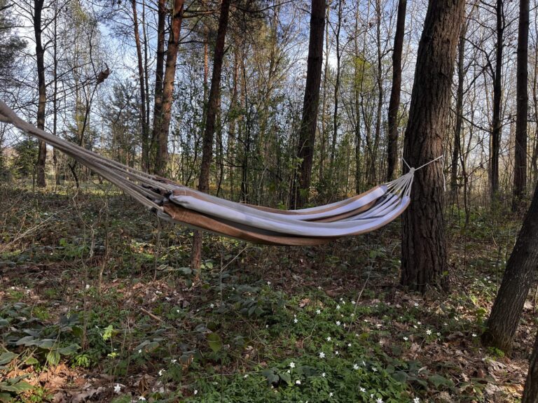 hamak w lesie scaled 1 768x576