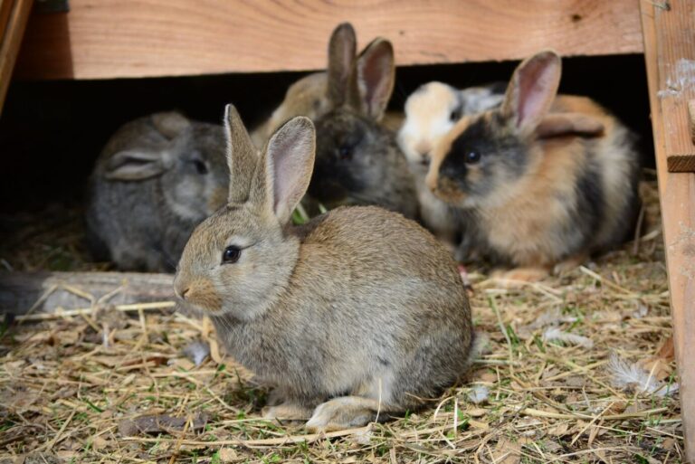 3 3 scaled 1 768x513