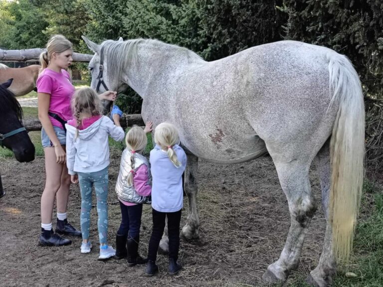 8 3 scaled 1 768x576