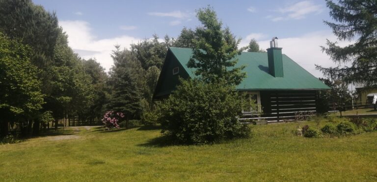 IMG 20240522 133319 768x371