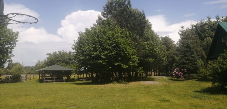 IMG 20240522 133325 768x371