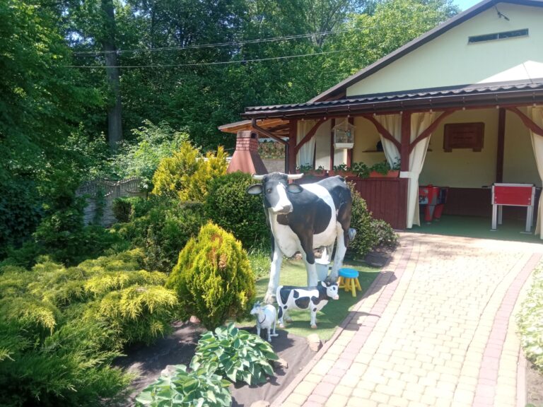 IMG 20240524 115405 768x576