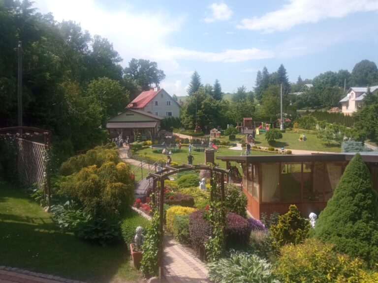 IMG 20240524 134124 768x576