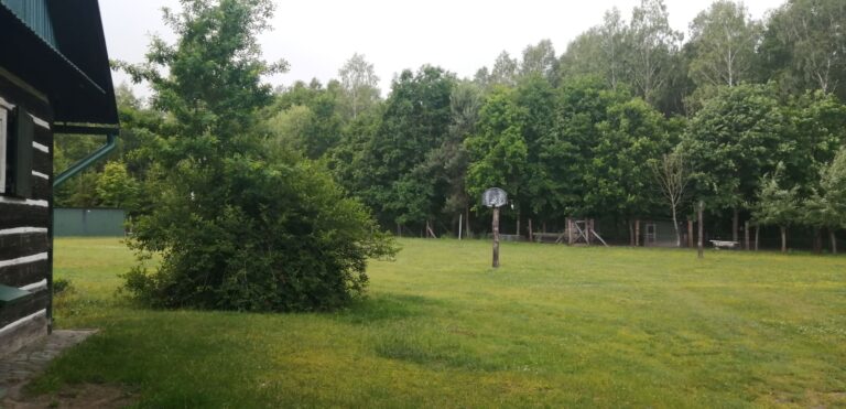 IMG 20240524 143918 768x371