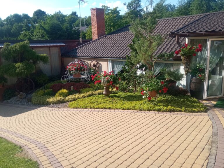 IMG 20240607 171431 768x576