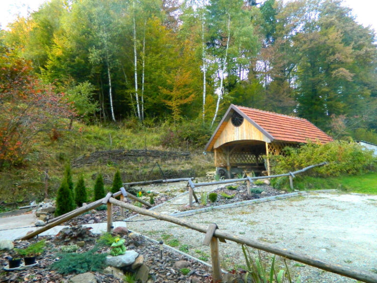 Zielony Gaj 2 768x576