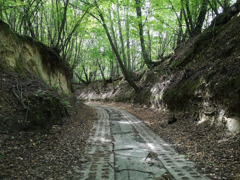 Wawoz lessowy 768x576