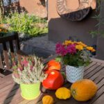 nowe 150x150