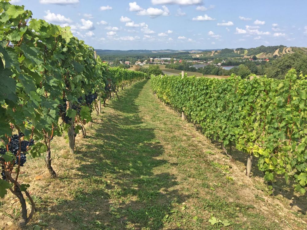 agroturystyka polana 4