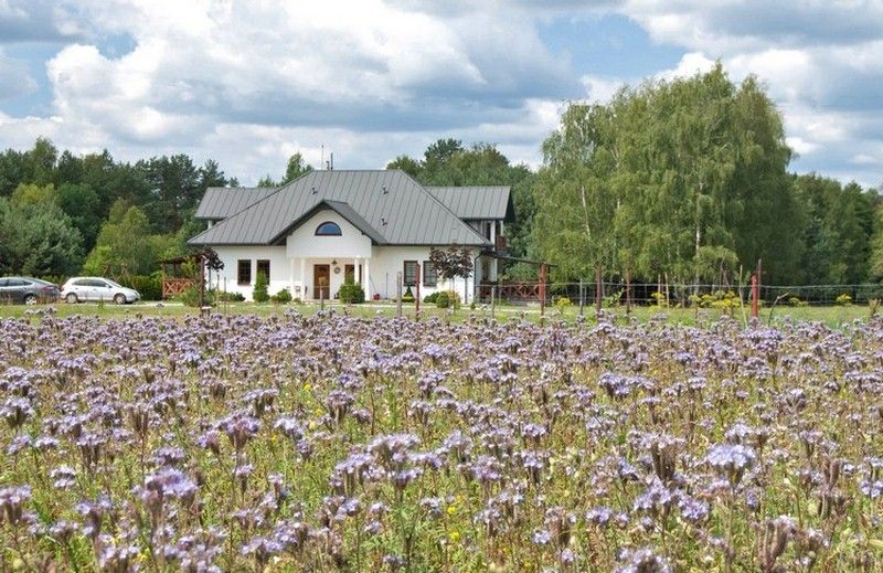 agroturystyka polana 5