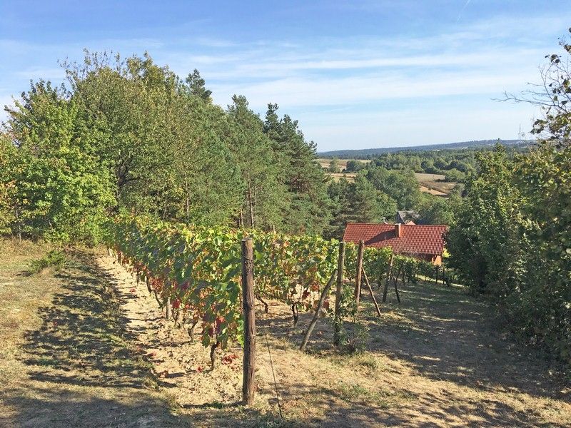 agroturystyka polana 6