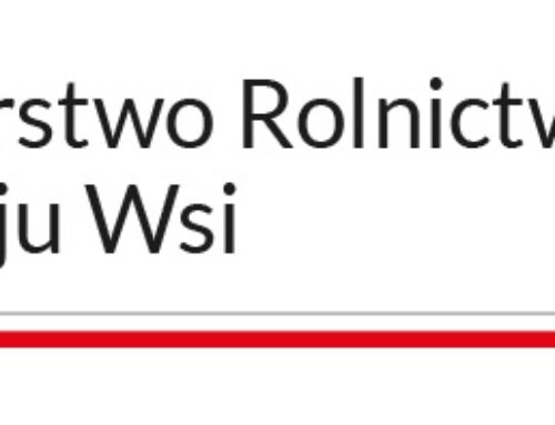 Wyniki konkursu plastycznego „Odpoczywaj na wsi” 2024 rok